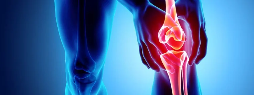 Knee Pain Services