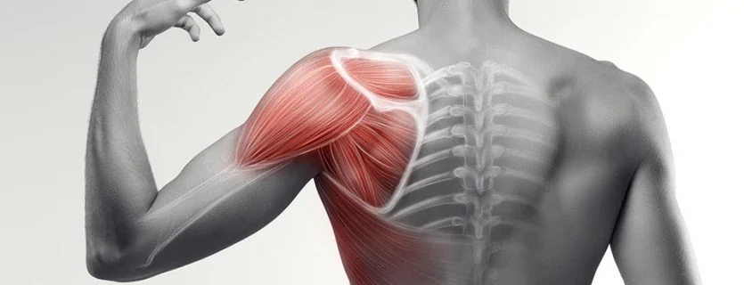 Rotator Cuff